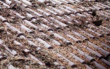 Hursey roof cleaning companies