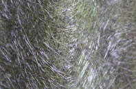 Hursey fibreglass roof work